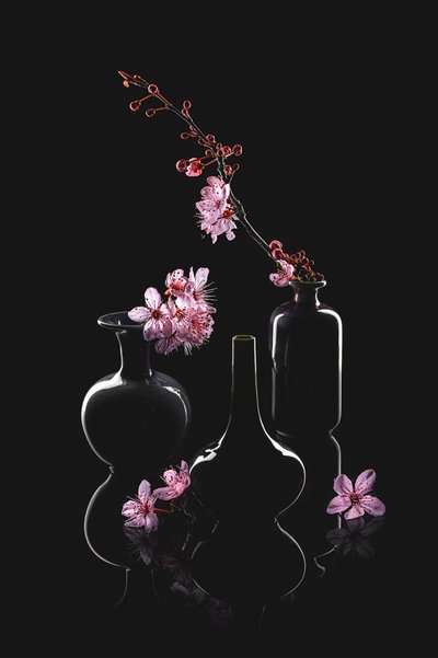Elegant Blossom Vases by Lydia Jacobs