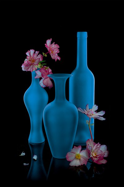 Elegant Blue Still Life by Lydia Jacobs