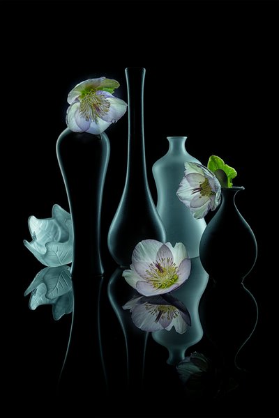 Elegant Floral Glow by Lydia Jacobs