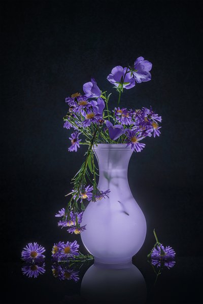 Elegant Floral Reflection by Lydia Jacobs
