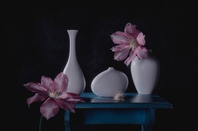 Elegant Floral Still Life by Lydia Jacobs