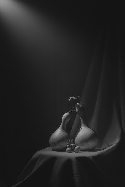 Elegant Gourd Still Life by Lydia Jacobs