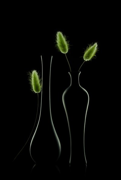 Elegant Green Still Life by Lydia Jacobs