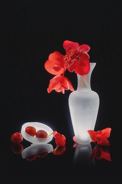 Elegant Red Still Life by Lydia Jacobs