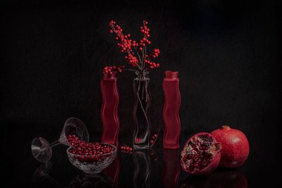 Elegant Red Still Life by Lydia Jacobs