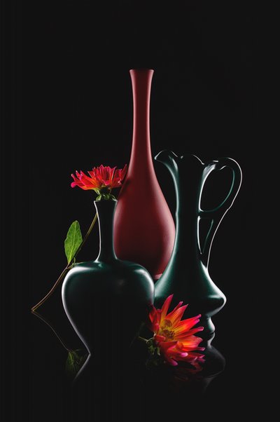 Elegant Vases Bloom by Lydia Jacobs