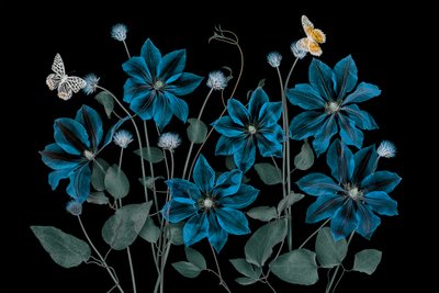 Ethereal Blue Garden by Lydia Jacobs