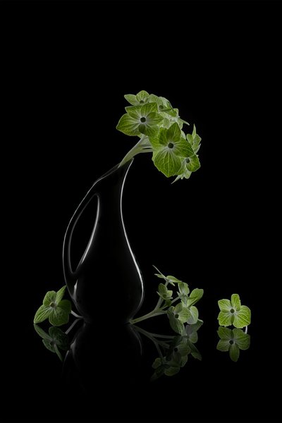 Green Blooms Reflection by Lydia Jacobs