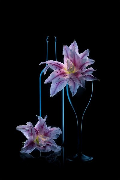 Luminous Lilies And Wine by Lydia Jacobs