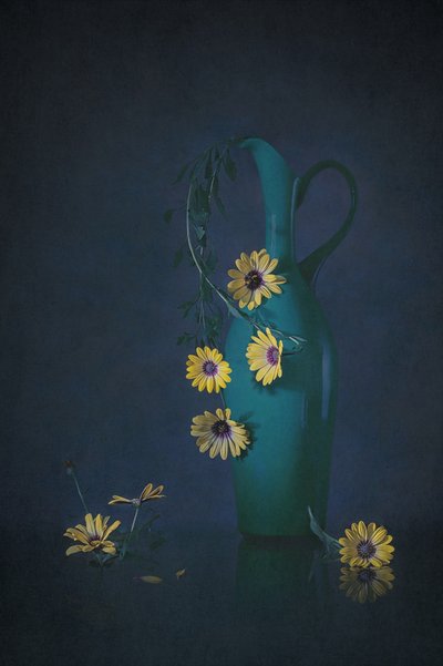 Moody Floral Still Life by Lydia Jacobs