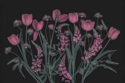 Moody Pink Blooms by Lydia Jacobs