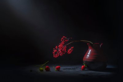 Moody Red Berries by Lydia Jacobs