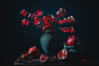 Moody Red Pomegranate Still Life by Lydia Jacobs