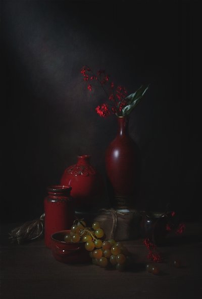 Moody Red Still Life by Lydia Jacobs