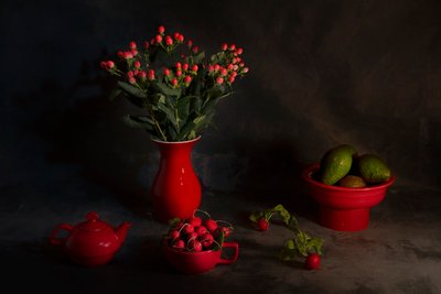 Moody Red Still Life by Lydia Jacobs