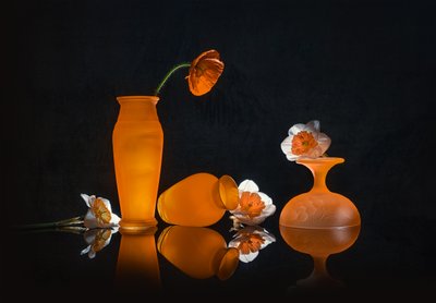 Orange Blooms Still Life by Lydia Jacobs