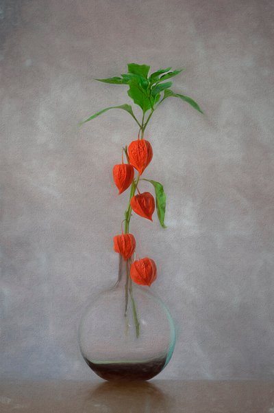 Orange Lanterns Vase by Lydia Jacobs