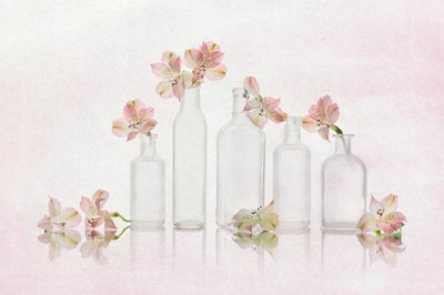 Pink Blooms and Glass by Lydia Jacobs