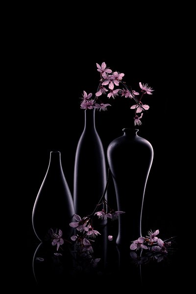 Pink Blossoms Dark Vases by Lydia Jacobs