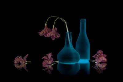 Pink Flowers Blue Glow by Lydia Jacobs
