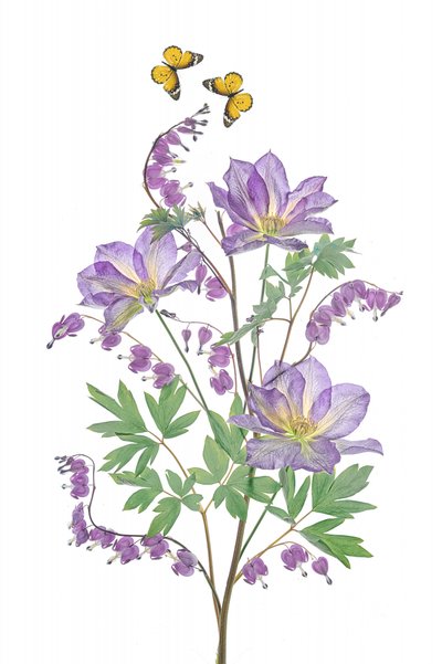 Purple Blooms and Butterflies by Lydia Jacobs