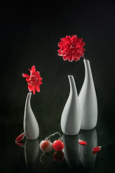 Red Dahlias and Vases by Lydia Jacobs