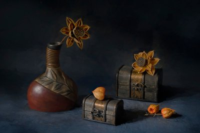 Rustic Botanical Display by Lydia Jacobs