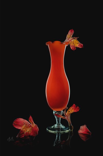 Vibrant Alstroemeria Still Life by Lydia Jacobs