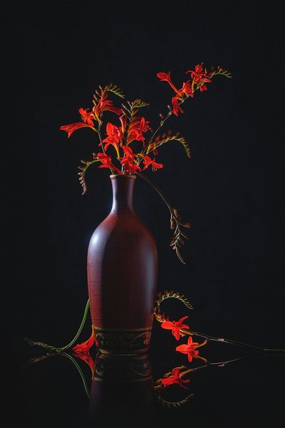 Vibrant Red Still Life by Lydia Jacobs