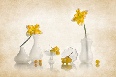 Yellow Daffodils and Grapes by Lydia Jacobs