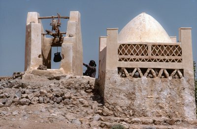 In desert, an oasis watering place with a well at Husn Al-Muttahar south of Tarin, Yemen by Lynn Abercrombie