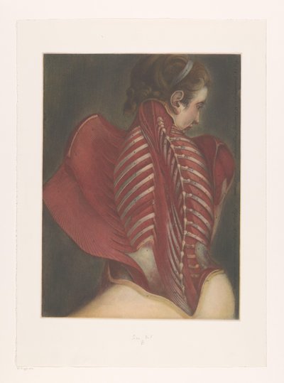 Anatomical Representation of the Back by M.D. Duplain