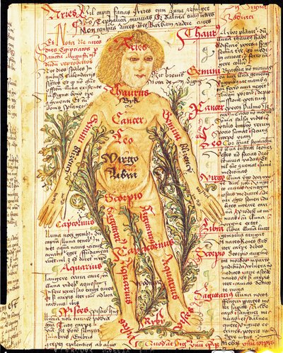 Influence of the Stars on Illnesses of the Human Body, from Tractatus de Pestilencia by M, Albik