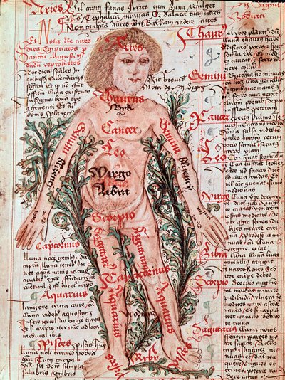 Influence of the Zodiac on Human Diseases (Miniature) by M Albik