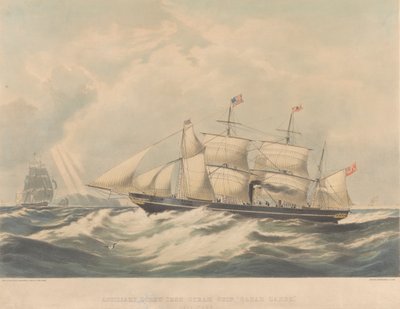 Auxiliary Screw Iron Steam Ship 