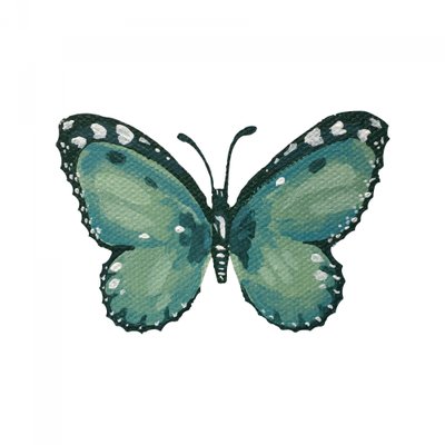 Elegant Teal Butterfly by Madison Phipps
