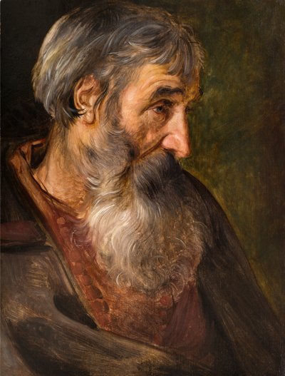 The Head of an Old Bearded Man by Maerten Vos de