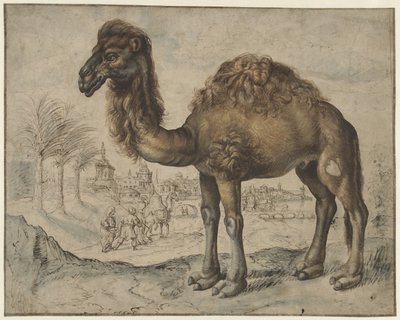 Dromedary in an Eastern Landscape with a City by Maerten de Vos