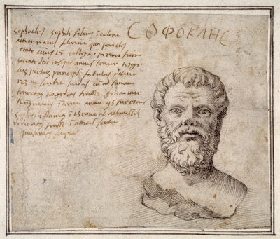 Antique bust of Sophocles, annotated, after Fulvio Orsini by Maerten van Heemskerck