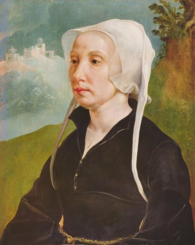 Portrait of a Woman by Maerten van Heemskerck