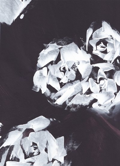 Abstract White Floral by Maira Ribena