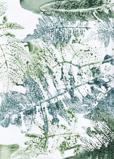 Botanical Fern Impressions by Maira Ribena