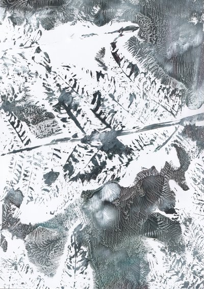 Ethereal Winter Foliage by Maira Ribena