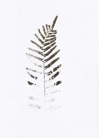 Minimalist Fern Leaf Print by Maira Ribena