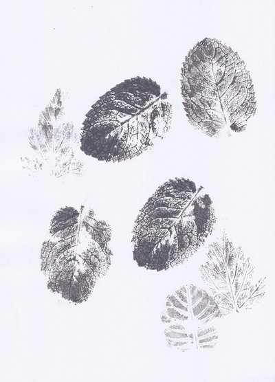Mint Leaf Imprints by Maira Ribena