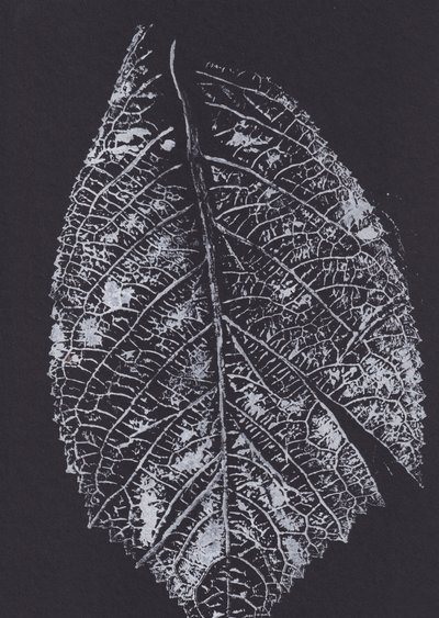 Monochrome Leaf Pattern by Maira Ribena