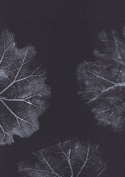 Monochrome Leaf Textures by Maira Ribena