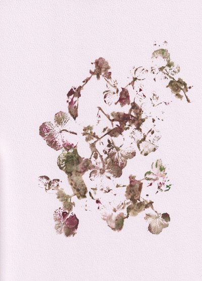 Muted Botanical Impressions by Maira Ribena