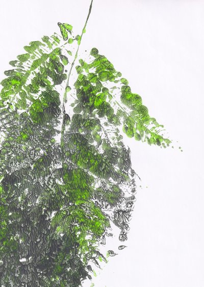 Organic Green Fern by Maira Ribena