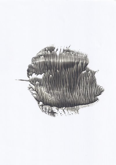 Organic Ink Flow by Maira Ribena